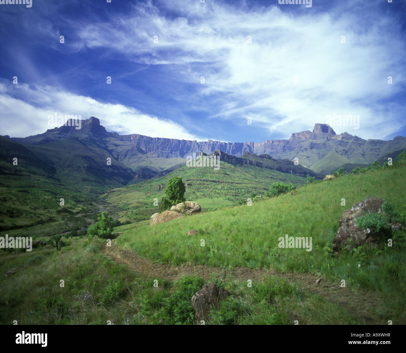 Anfiteatro naturale ROYAL NATAL NATIONAL PARK DRAKENSBURG SUD AFRICA Foto Stock