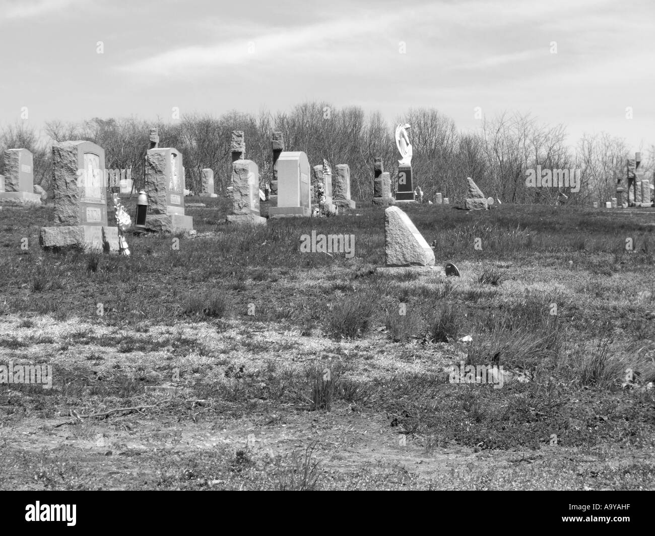 Lapidi in UN CIMITERO DI SUNNYDALE - Bianco e Nero Foto Stock
