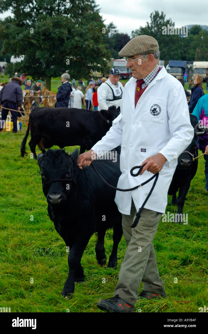 Stokesley agricultural show che si tiene ogni settembre a Stokesley North Yorkshire, Inghilterra Foto Stock