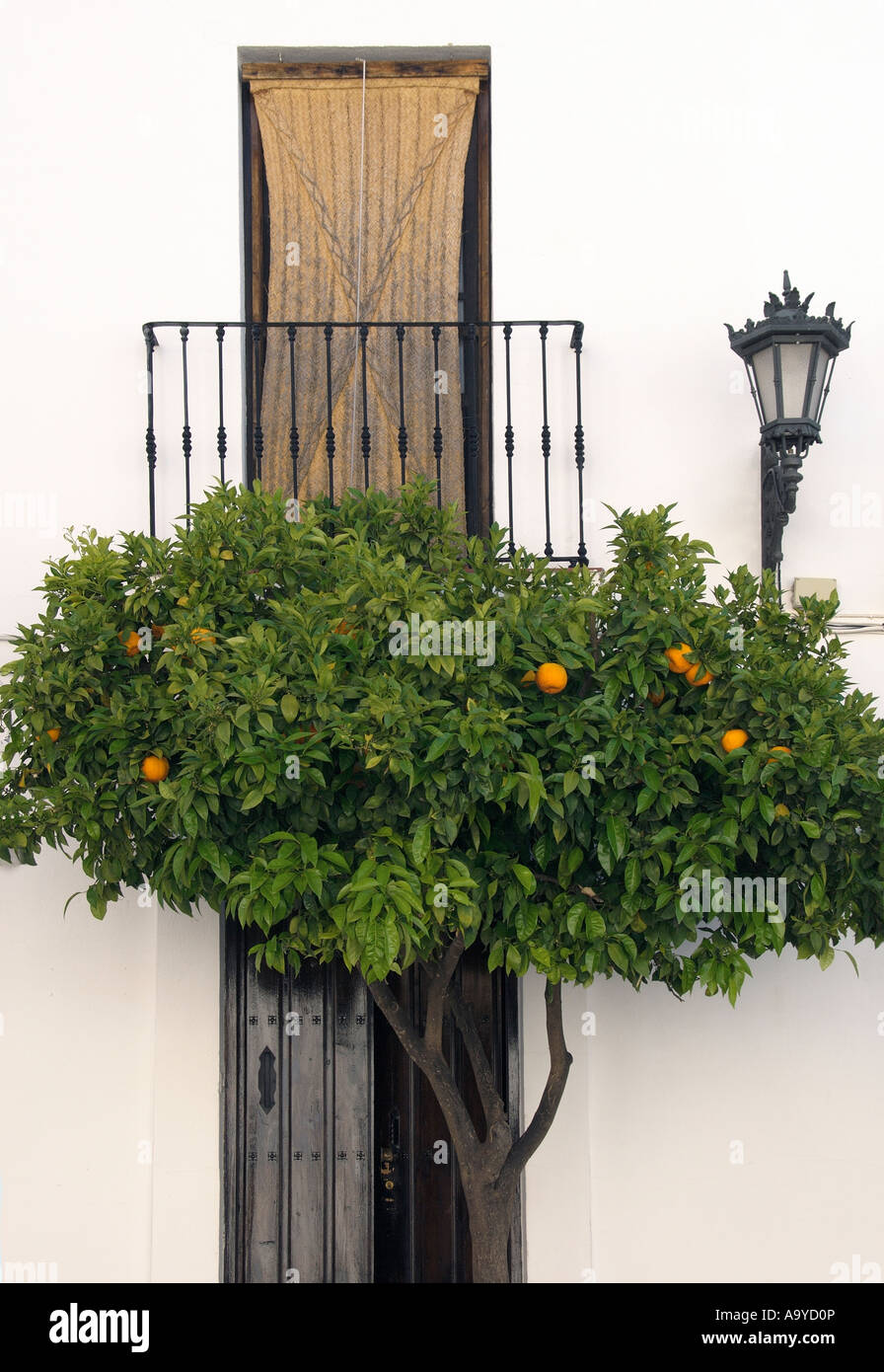 Ronda, Andalusia Foto Stock