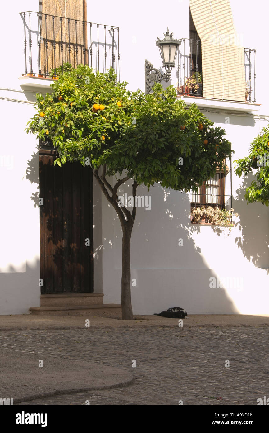 Ronda, Andalusia Foto Stock