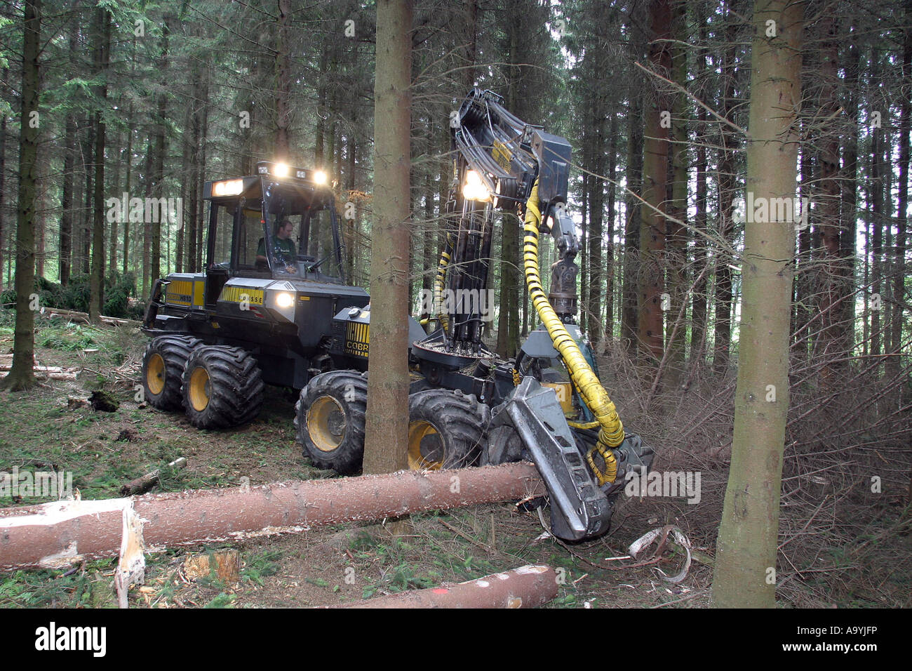 Lumberman lavora con un Harvester nella foresta Foto Stock