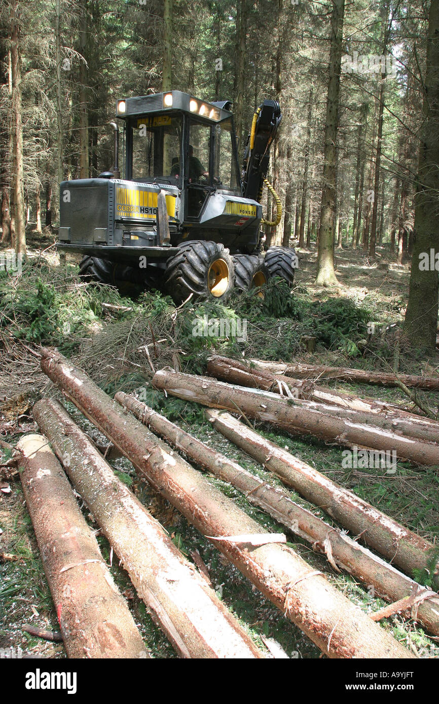 Lumberman lavora con un Harvester nella foresta Foto Stock