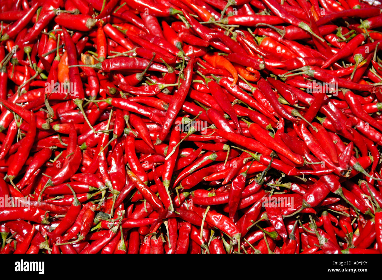 Red Hot Chili Peppers sul mercato Boditti Etiopia Foto Stock