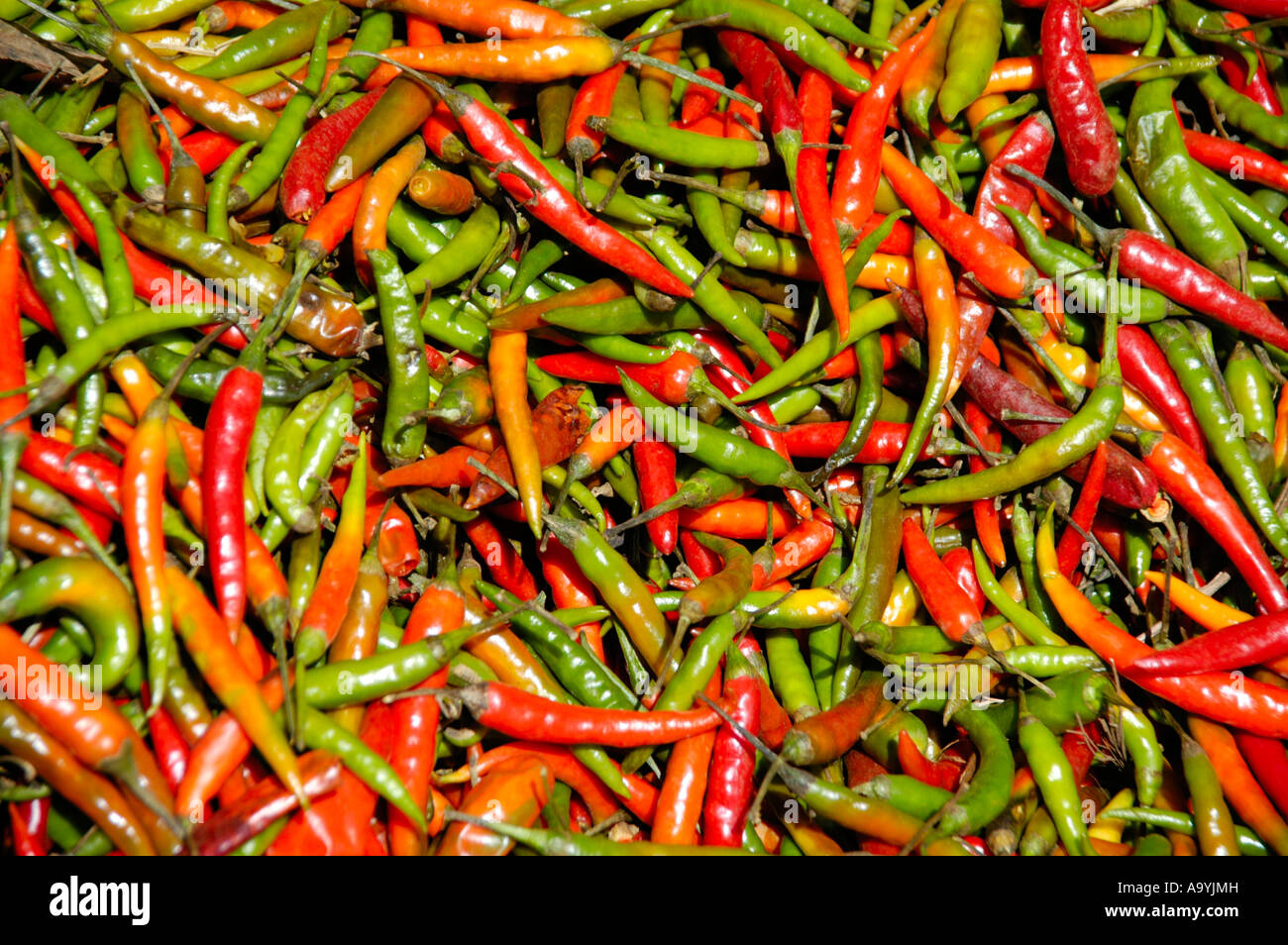 Rosso e peperoncini verdi sul mercato Boditti Etiopia Foto Stock
