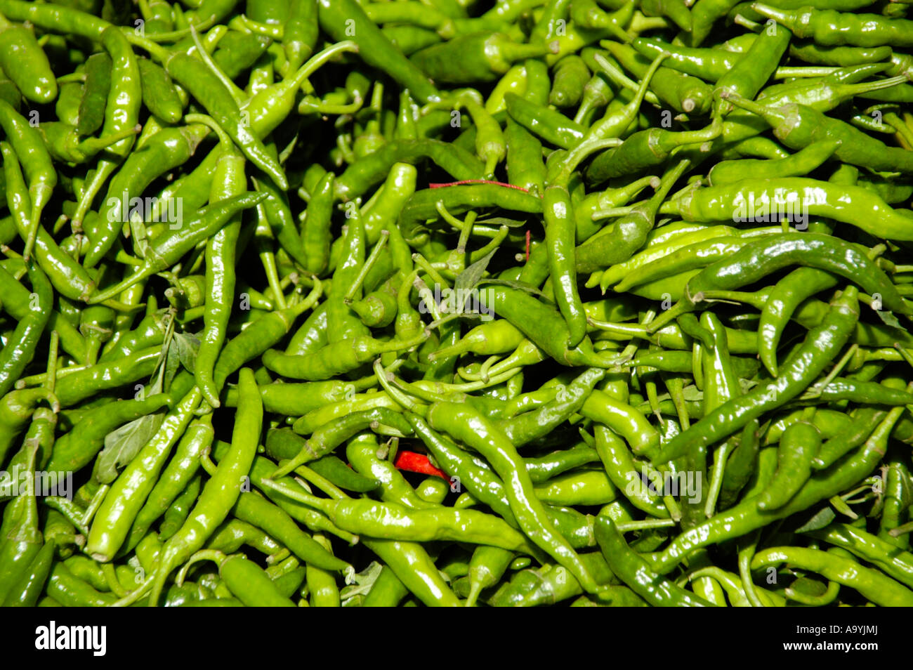 Peperoncini verdi sul mercato di Boditti Etiopia Foto Stock