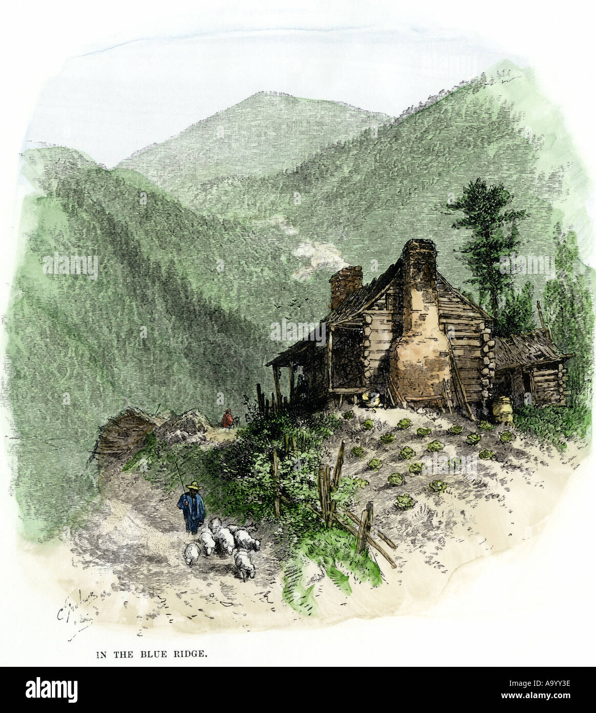 Pecore ha portato a casa ai coloni log cabin in Blue Ridge Mountains. Colorate a mano la xilografia Foto Stock