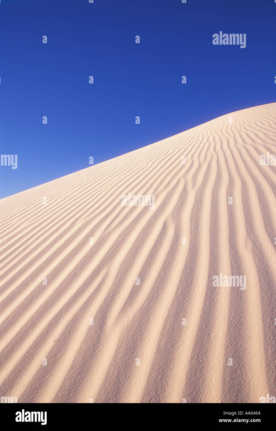 Modelli sulla duna di sabbia White Sands National Monument Nuovo Messico USA Foto Stock