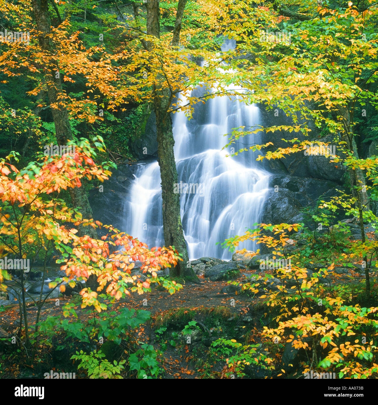 Moss Glen Falls e caduta delle foglie nel Vermont USA nei pressi di Montpelier Foto Stock