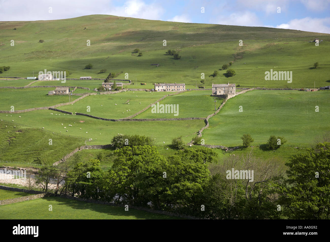 Black Hill e il fiume Swale ad ovest di Gunnersde Swaledale Yorkshire Dales National Park Engalnd Foto Stock