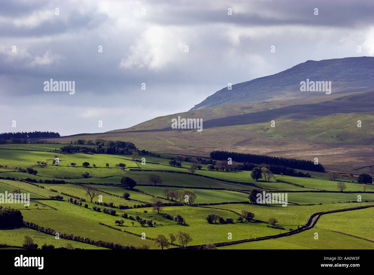 Cumbria Lake District terreni agricoli vicino a caldbeck Foto Stock