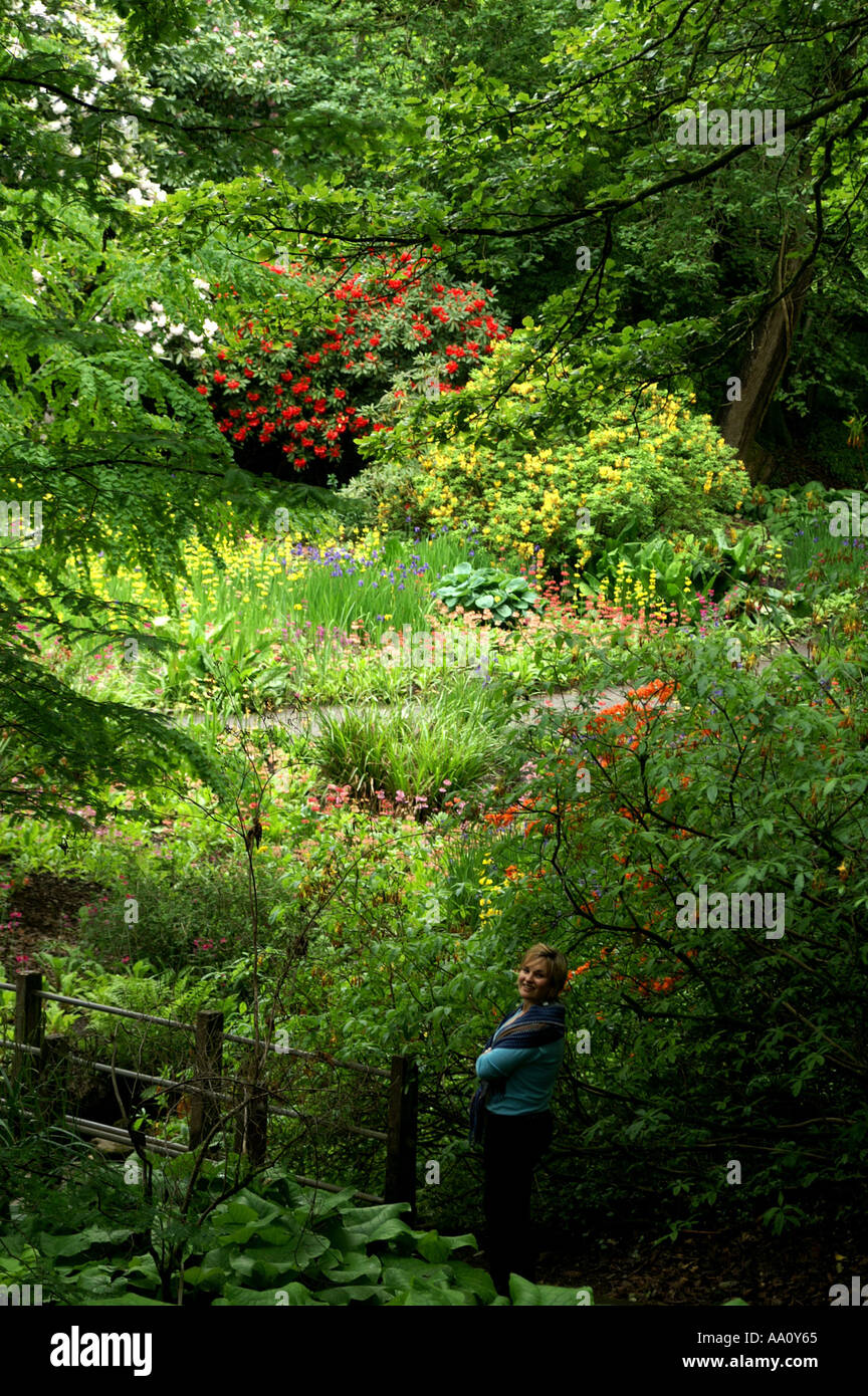 Fiori in giardini Clyne Swansea Pembroke Wales UK Foto Stock