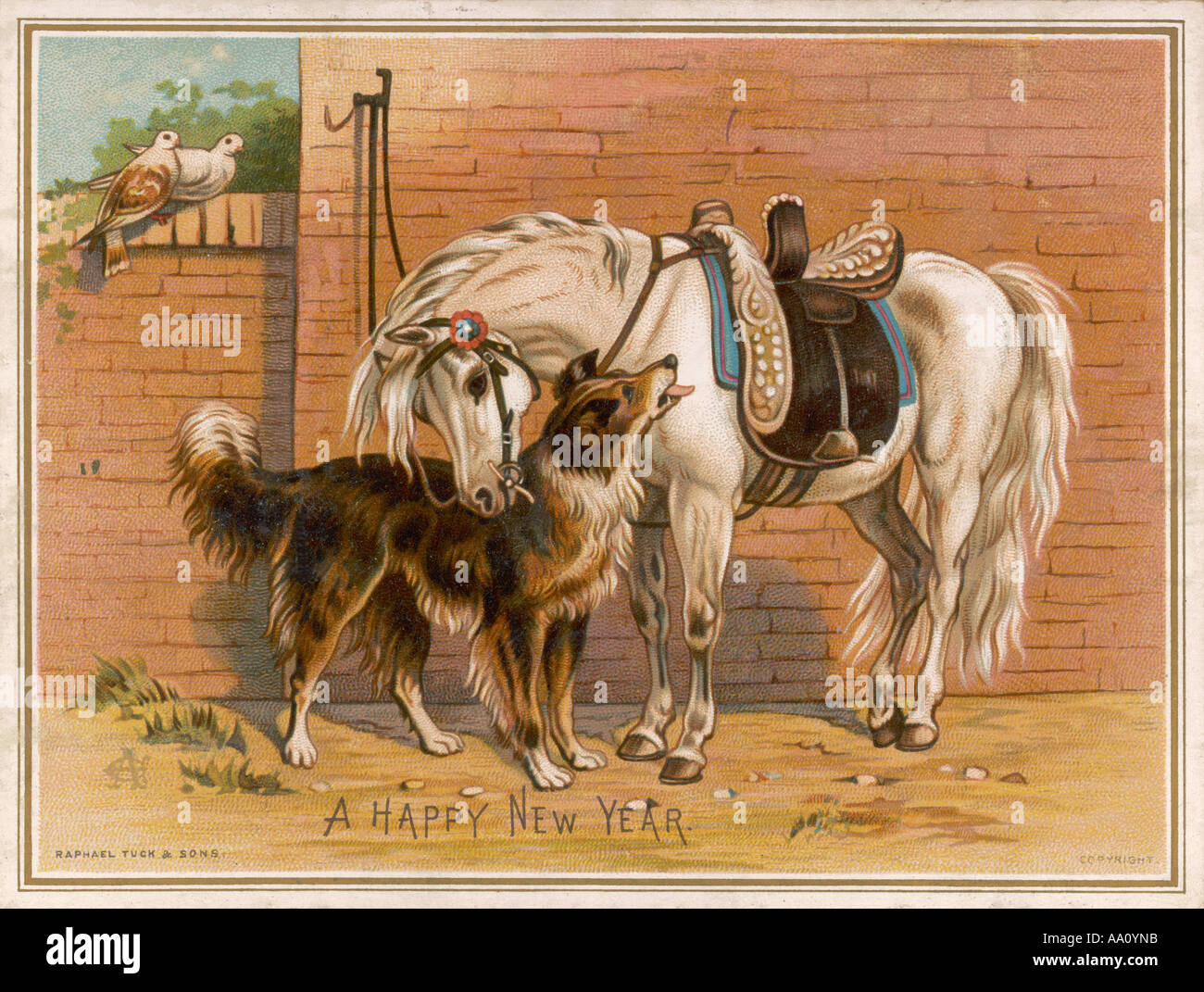 Cane Pony Nuova scheda Yr Foto Stock