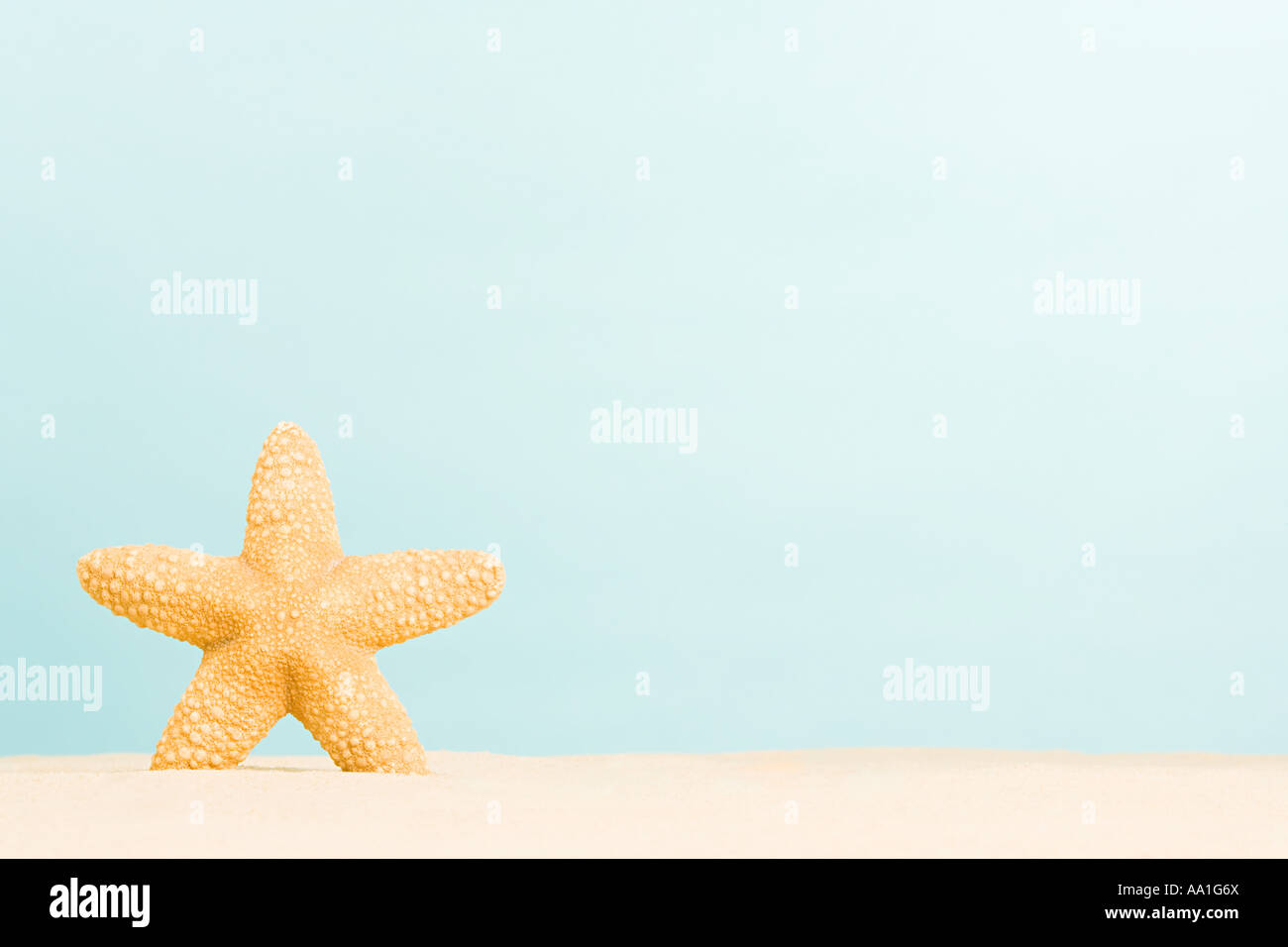 Starfish in sabbia Foto Stock