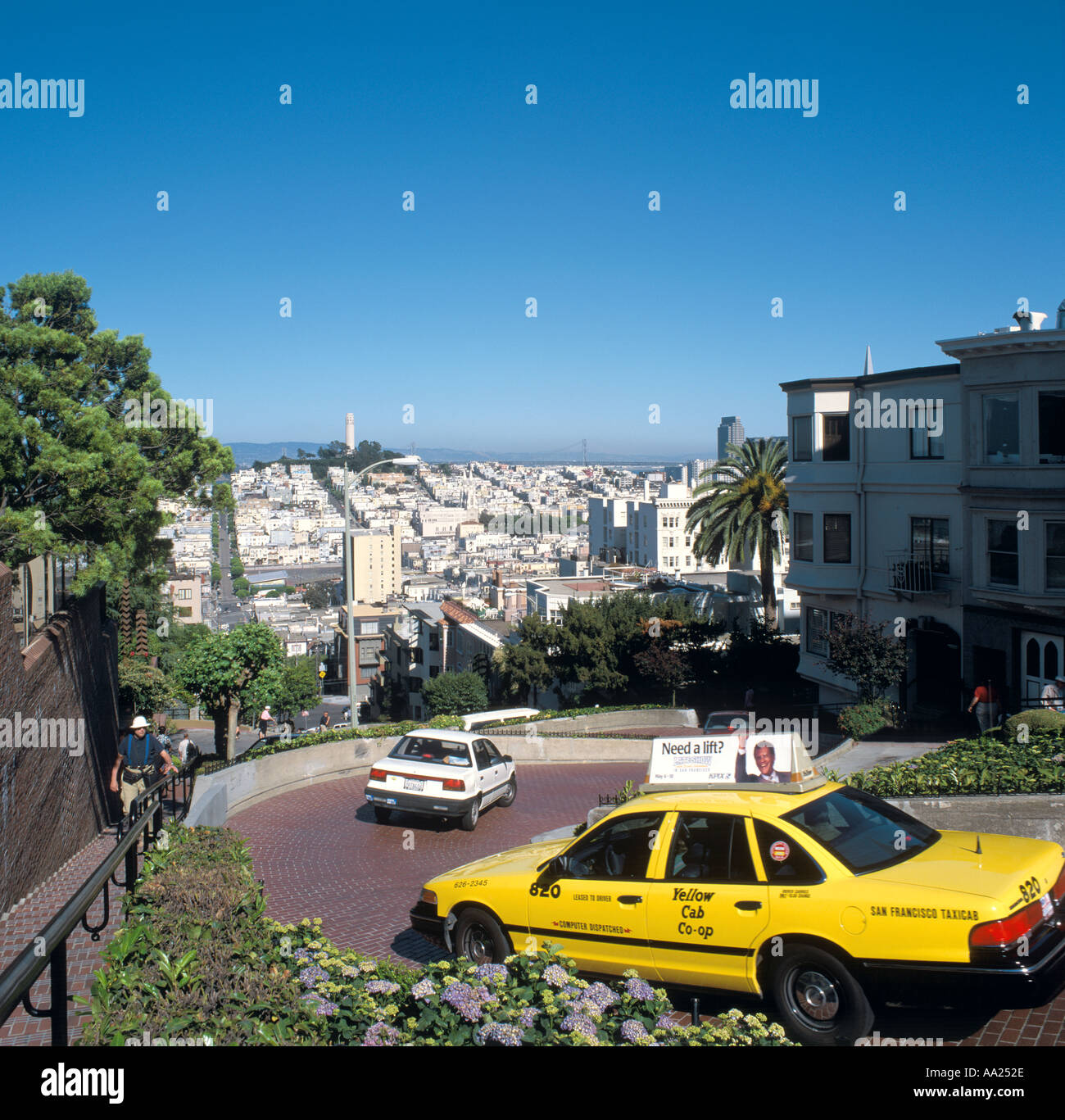 Lombard Street, San Francisco, California, Stati Uniti d'America Foto Stock