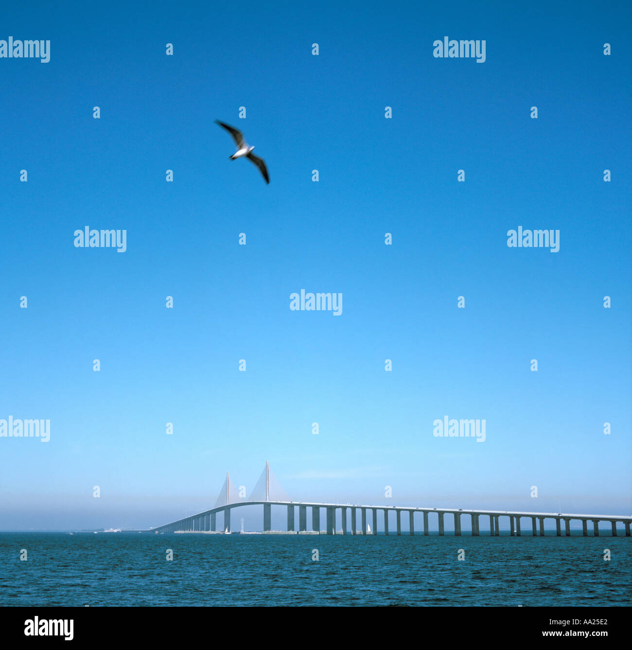 Sunshine Skyway, costa del Golfo della Florida, Stati Uniti d'America Foto Stock