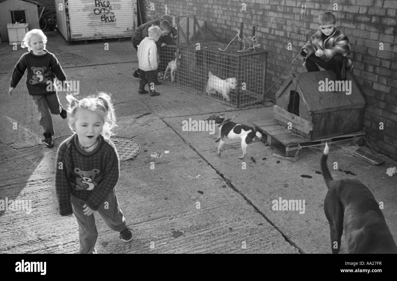 I bambini giocano con i cani su un viaggiatore zingaro est del sito di Cardiff nel Galles del Sud Foto Stock