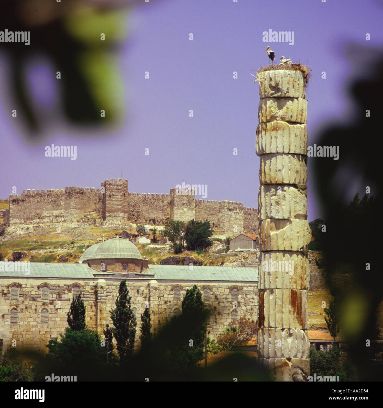 La nidificazione delle cicogne sulla parte superiore di un singolo vecchio pilastro archeologico contro un cielo azzurro vicino a St Johns Basilica a Selcuk Turchia Foto Stock