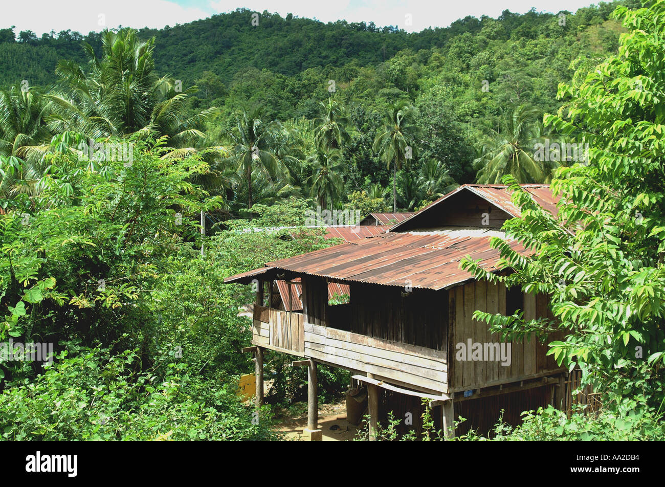 Villaggio di montagna case . Di ferro ondulato edificio del tetto nella giungla di palme. Foto Stock