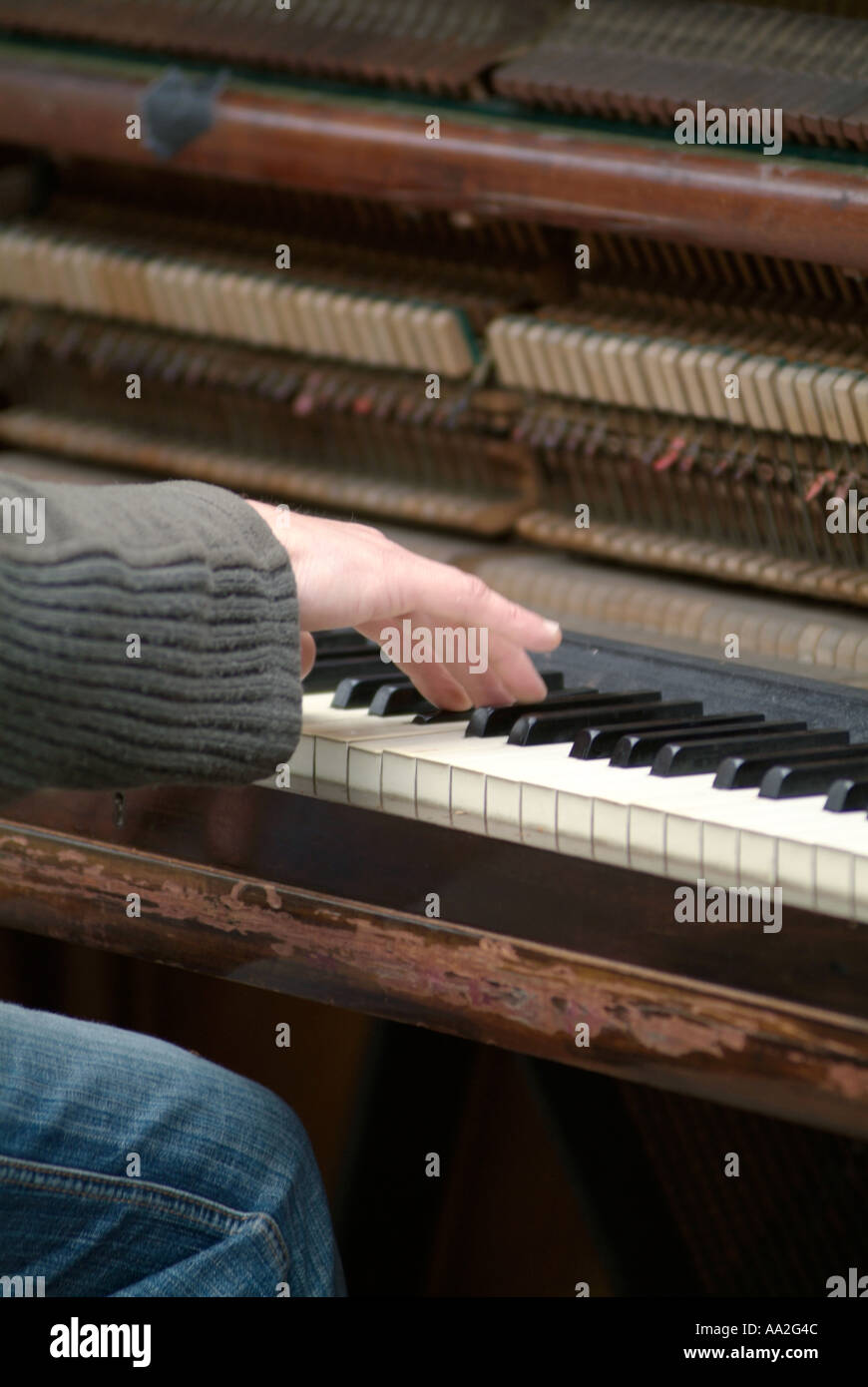 Pianoforte pianista giocare giocare i tasti musica tune stringa martello musicista live plonk Foto Stock