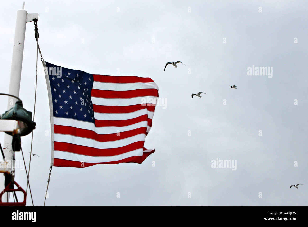 Una bandiera americana sventolare nel vento con i gabbiani battenti in background Foto Stock