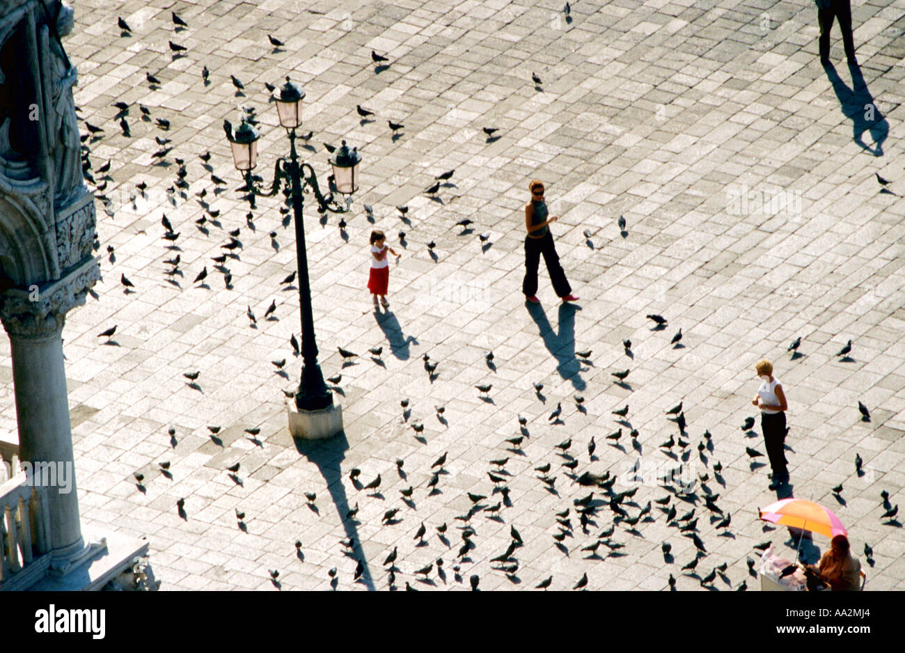 L'Italia, Venezia, bambina con persone e Piccioni in piazza cittadina, vista in elevazione Foto Stock