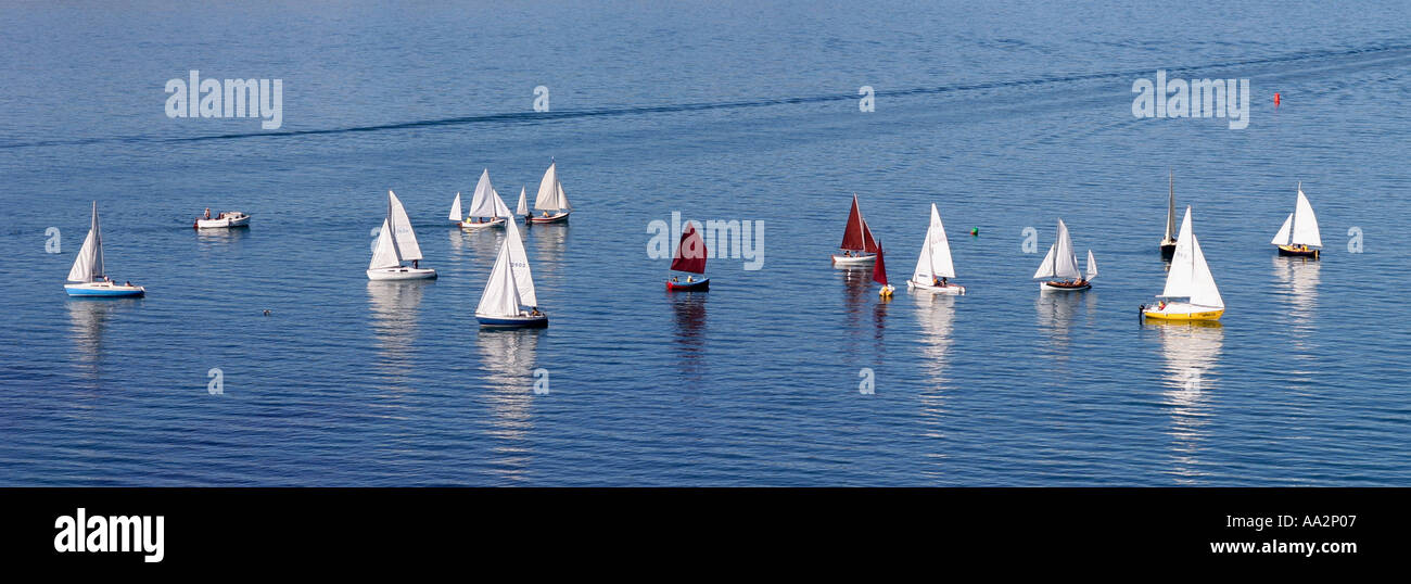 Panoramica di imbarcazioni a vela su una giornata d'estate in Nuova Zelanda Foto Stock