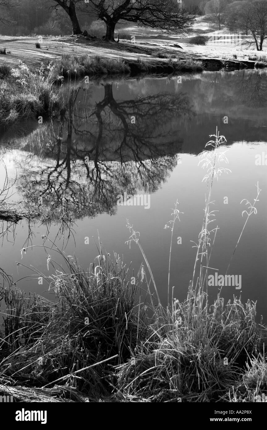 Frost al fiume brathay Foto Stock