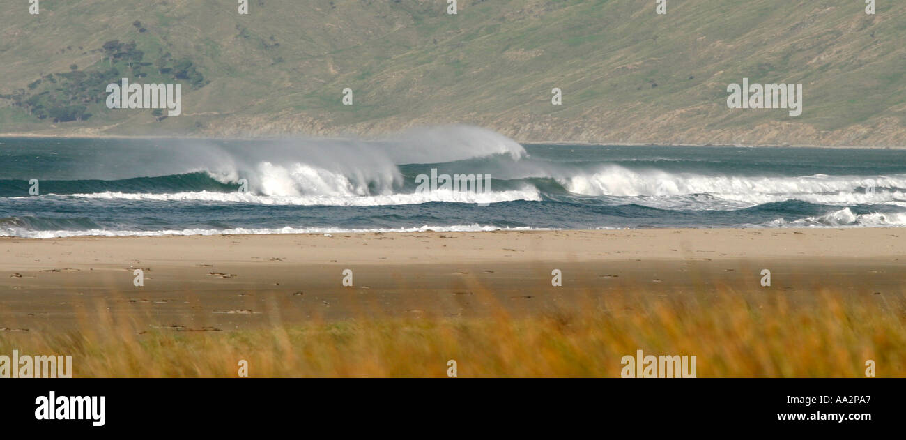 Panoramica Spiaggia Herbitvile Nuova Zelanda Foto Stock