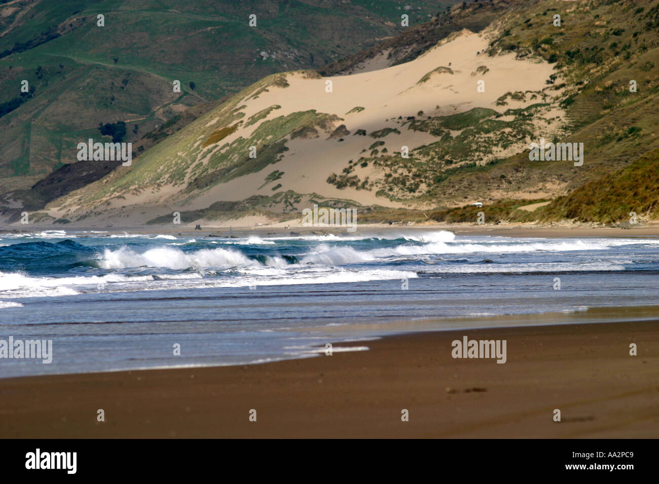 Spiaggia in Nuova Zelanda Foto Stock
