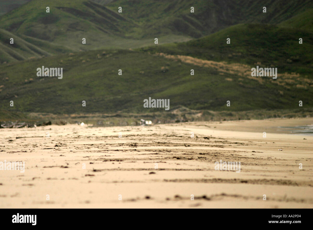 Spiaggia Herbitvile Nuova Zelanda Foto Stock