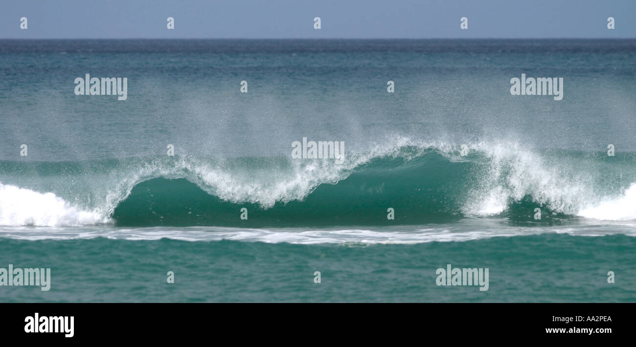 Panoramica delle onde che si infrangono sulla battigia Beach Nuova Zelanda Foto Stock