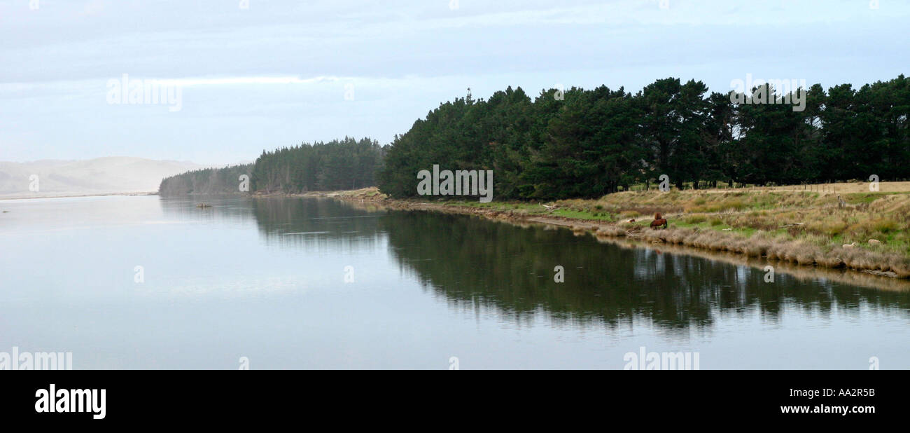 Vista panoramica del fiume Nuova Zelanda Foto Stock