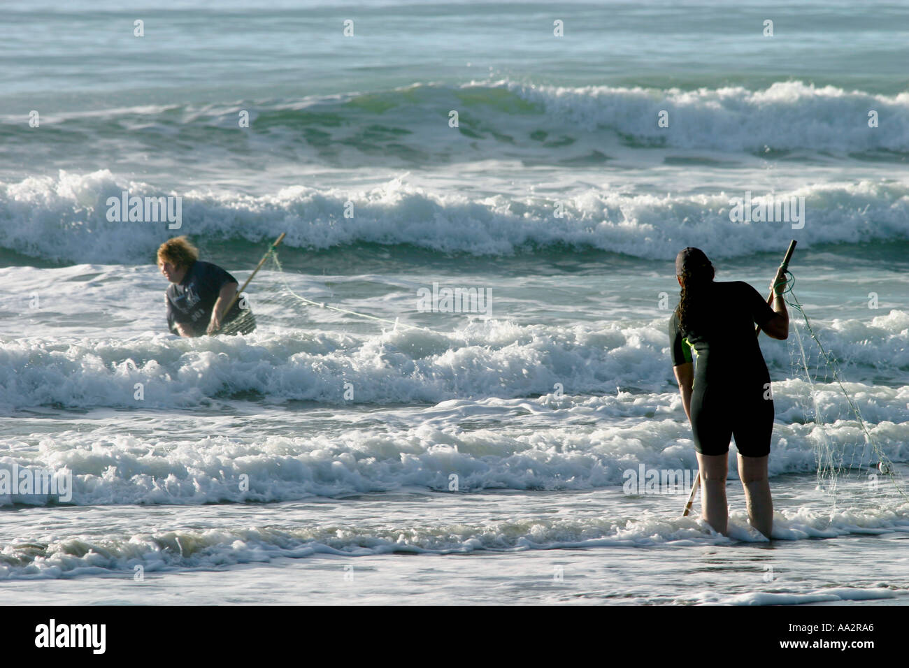 Net la pesca nel surf in Nuova Zelanda Foto Stock