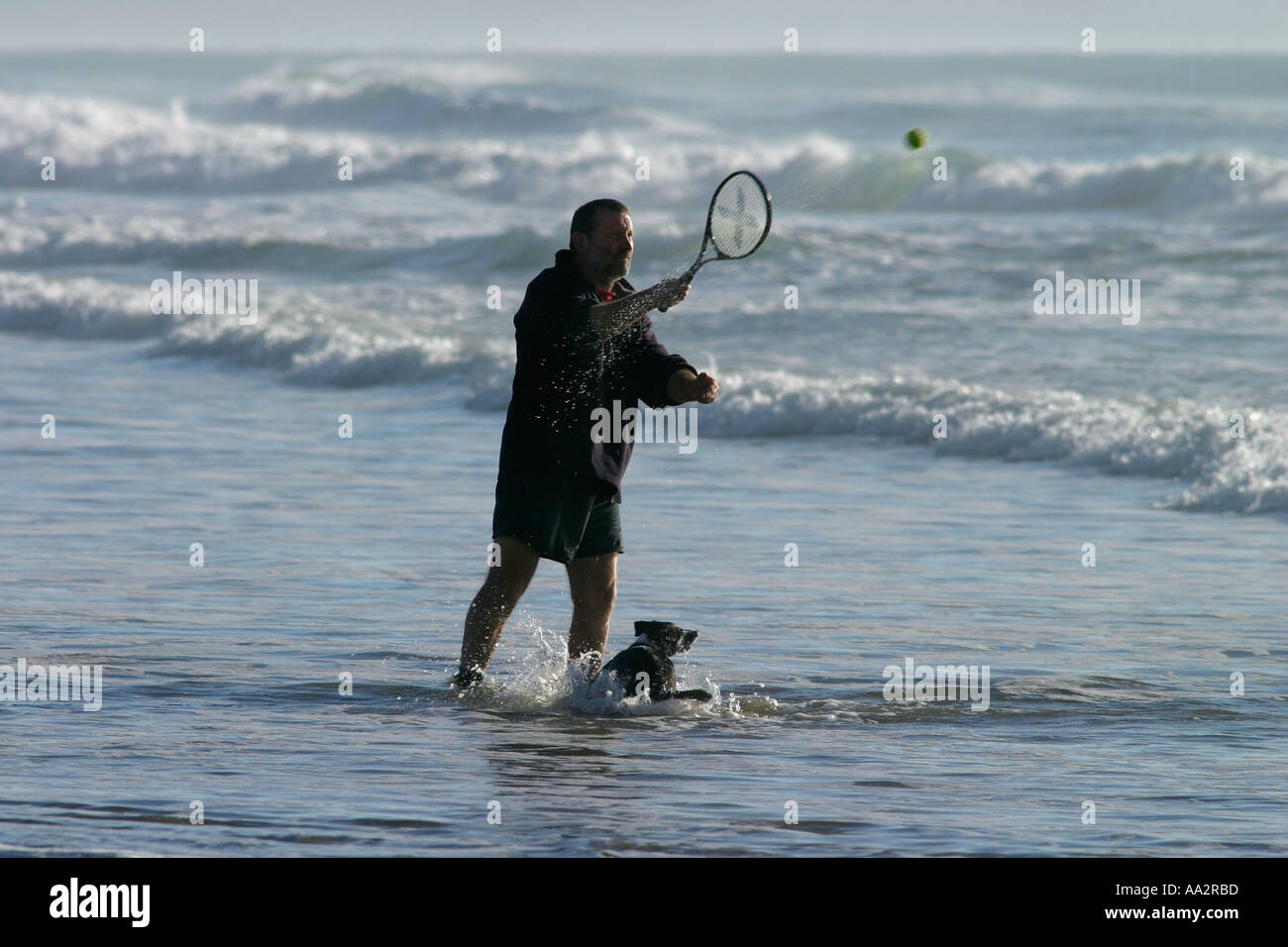 L uomo e il suo cane sulla spiaggia in Nuova Zelanda Foto Stock