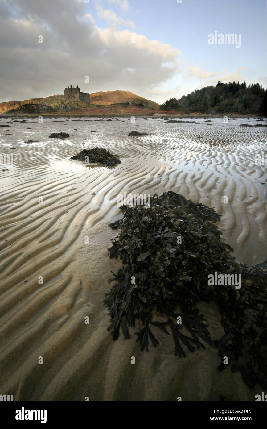 Castello Tioram home del Clan Ranald Loch Moidart Highlands della Scozia UK Foto Stock