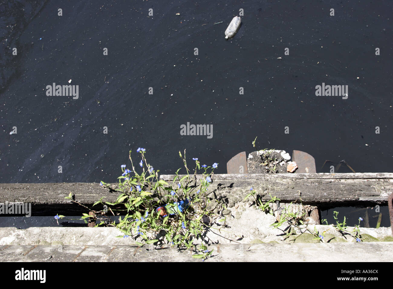 Acque inquinanti immagini e fotografie stock ad alta risoluzione - Alamy