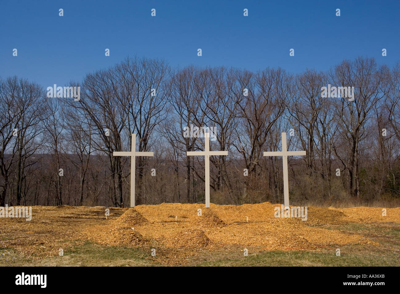 Tre croci di legno lungo una strada di Shelton Connecticut USA eretto per la Pasqua Foto Stock
