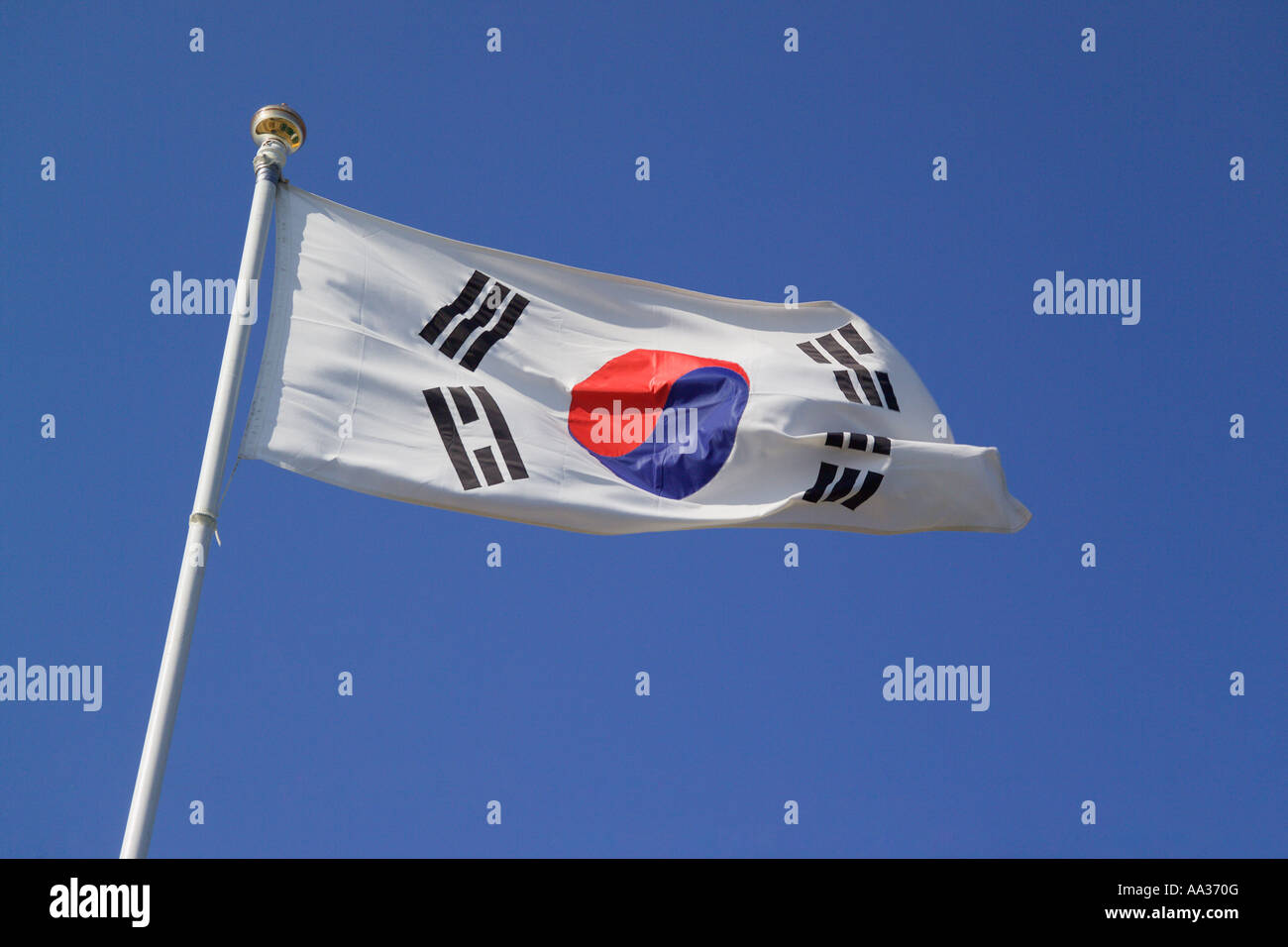 Sud Bandiera coreana Foto Stock
