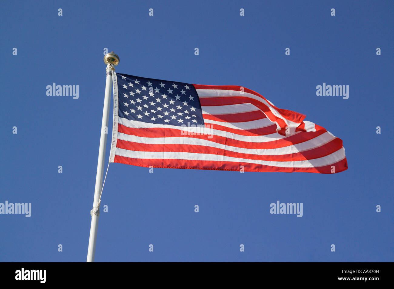 Bandiera degli Stati Uniti Foto Stock