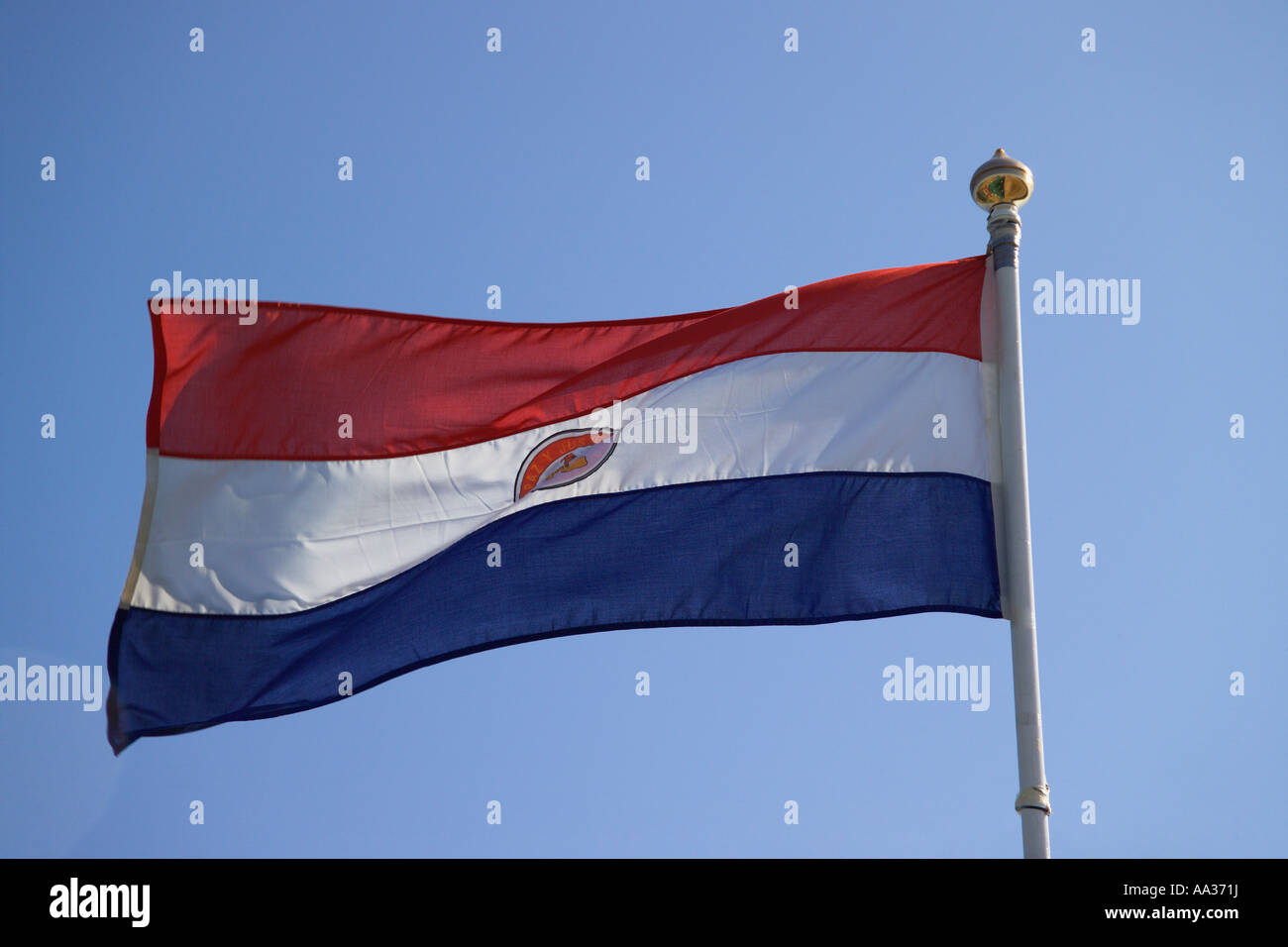 Bandiera del Paraguay Foto Stock