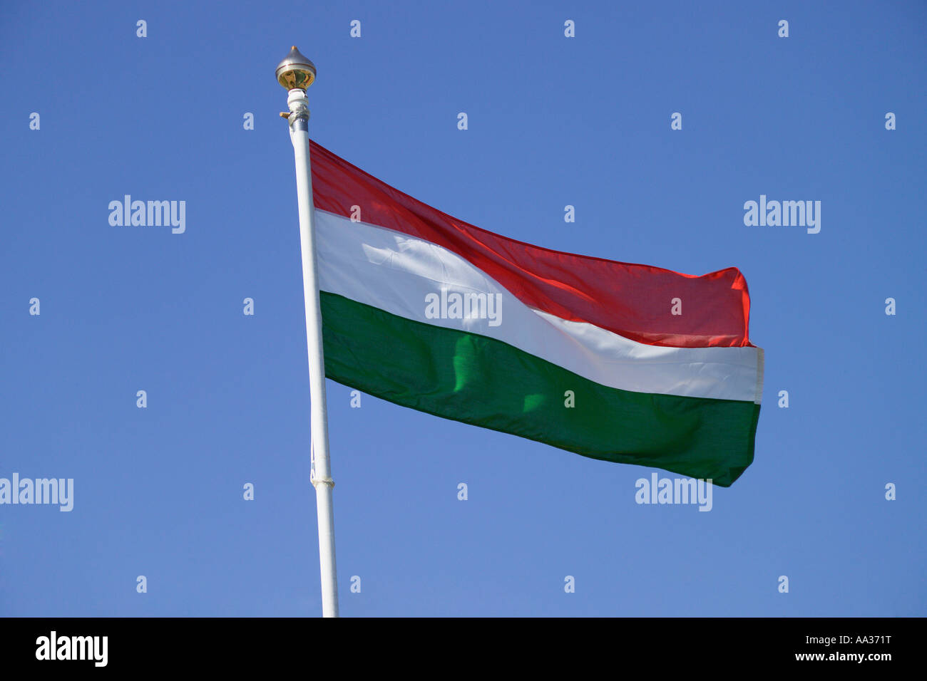 Bandiera ungherese Foto Stock