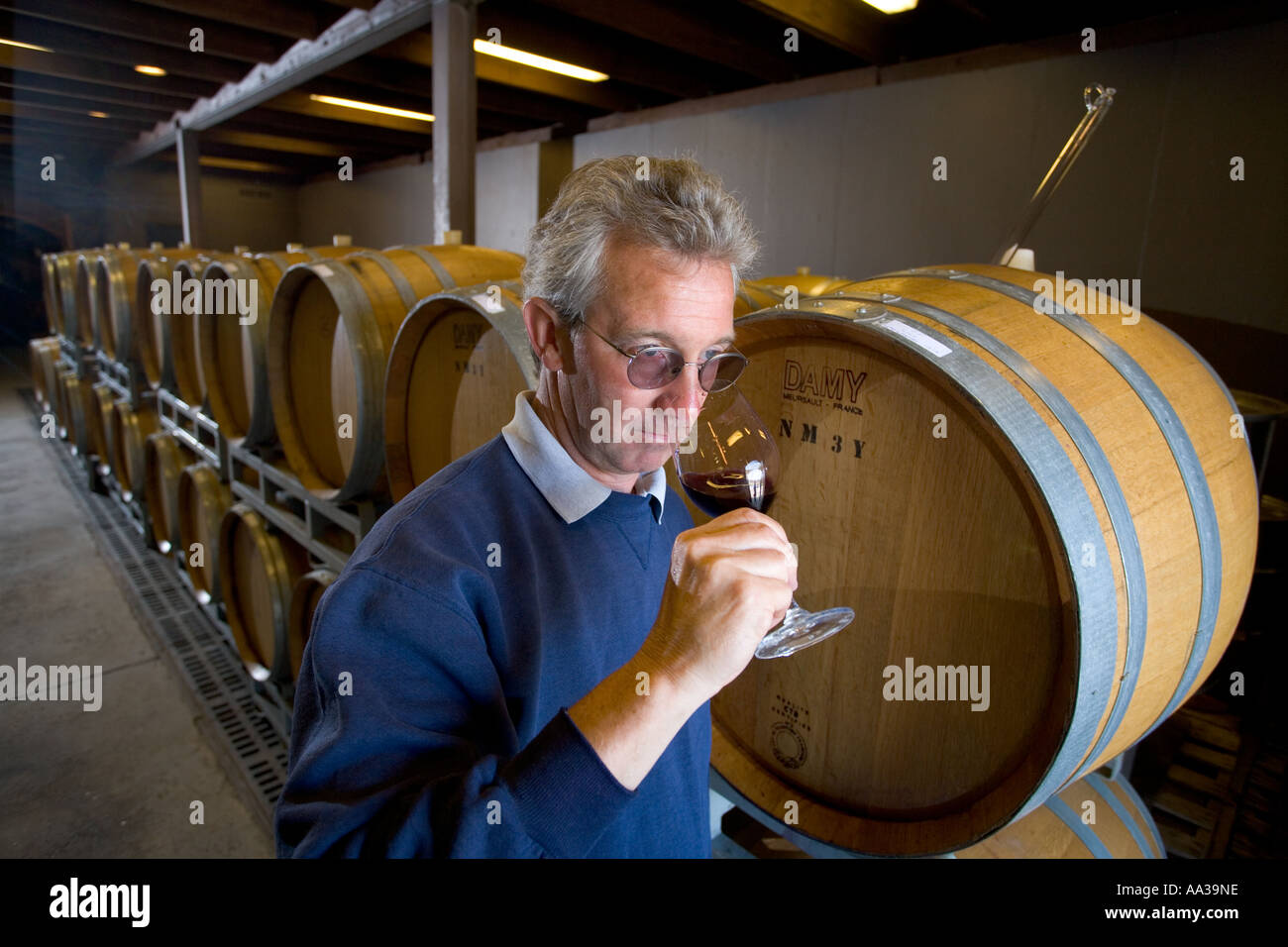 Master Winemaker ispeziona e odora di vino rosso accanto alle botti di rovere in Nuova Inghilterra cantina di vigneti Chamard Clinton Connecticut, Foto Stock