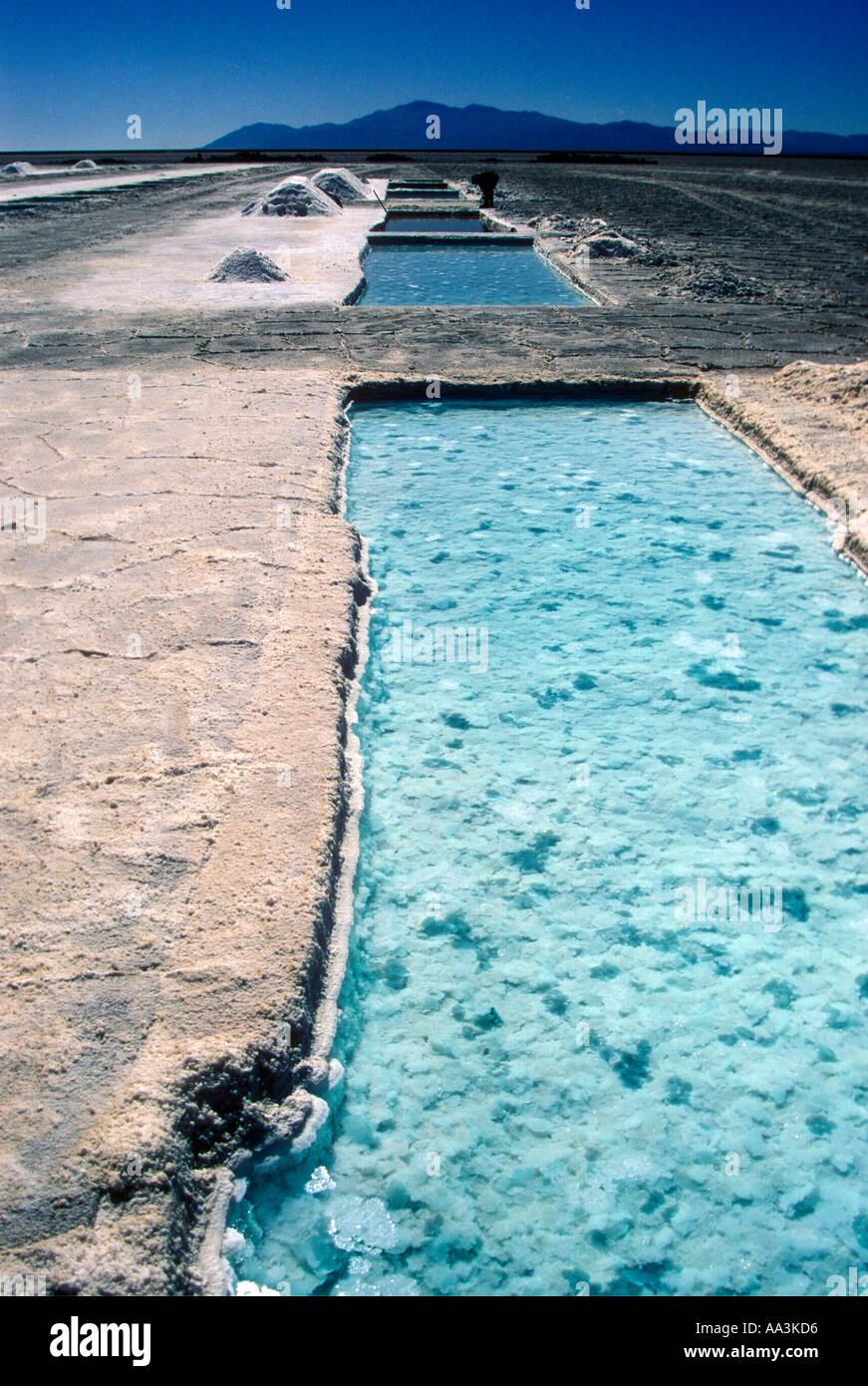 Estrazione del sale in Salinas Grandes nella Puna argentine Foto Stock