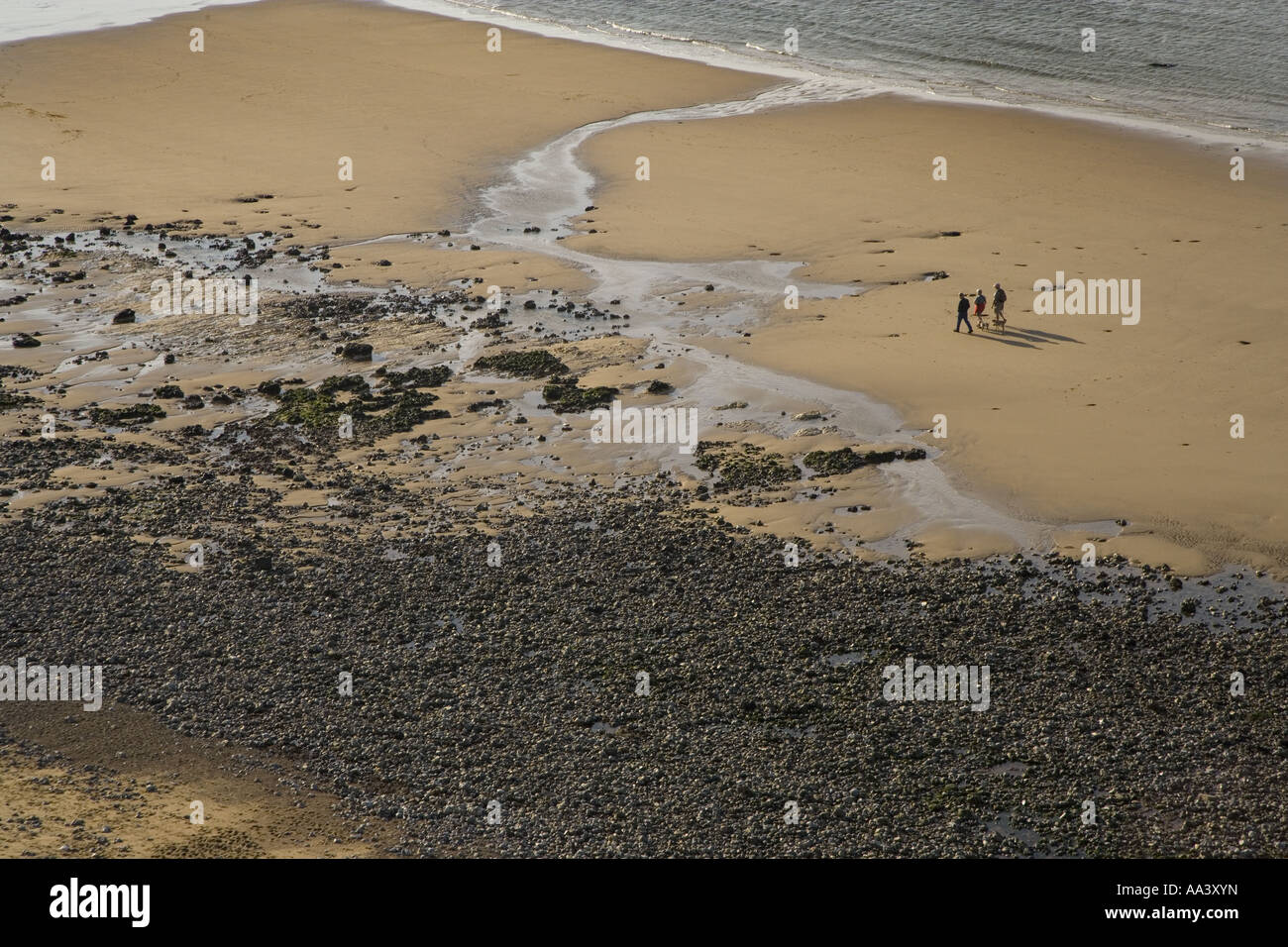 West Runton Beach NORFOLK REGNO UNITO GIUGNO SSSI Foto Stock