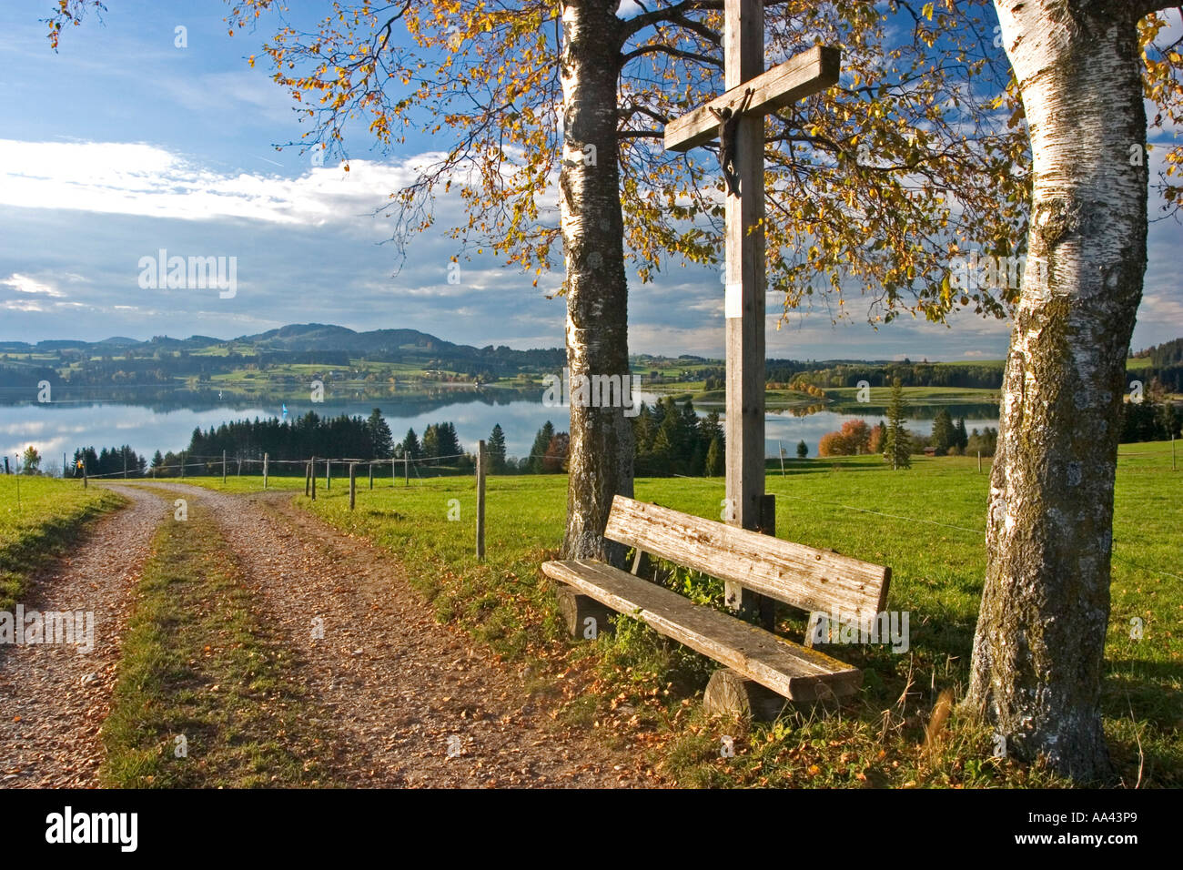 Croce su una strada con l'autunno di betulle, vista del lago Forggen, Forggen lake, Roßhaupten, Algovia, Est Allgäu, Bavaria Foto Stock