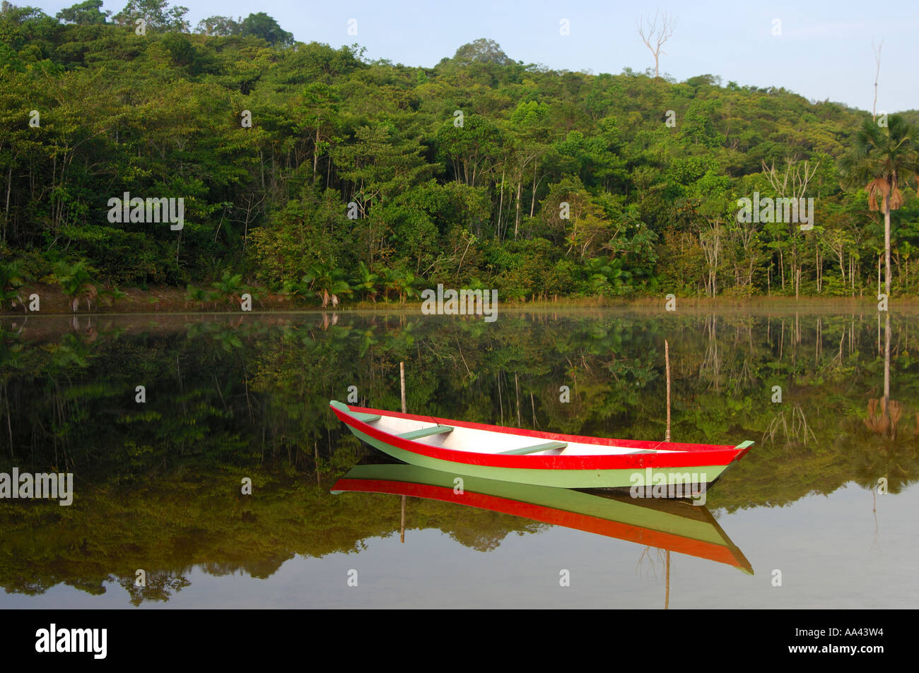 Barca su un fiume nella giungla su una tranquilla mattina Amazzonia Brasile Foto Stock