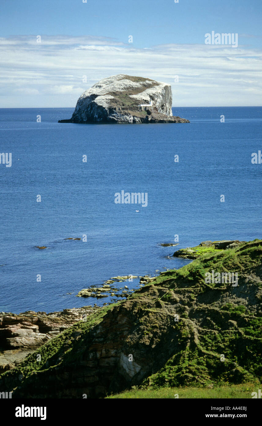 Bass Rock visto dalla terraferma Foto Stock