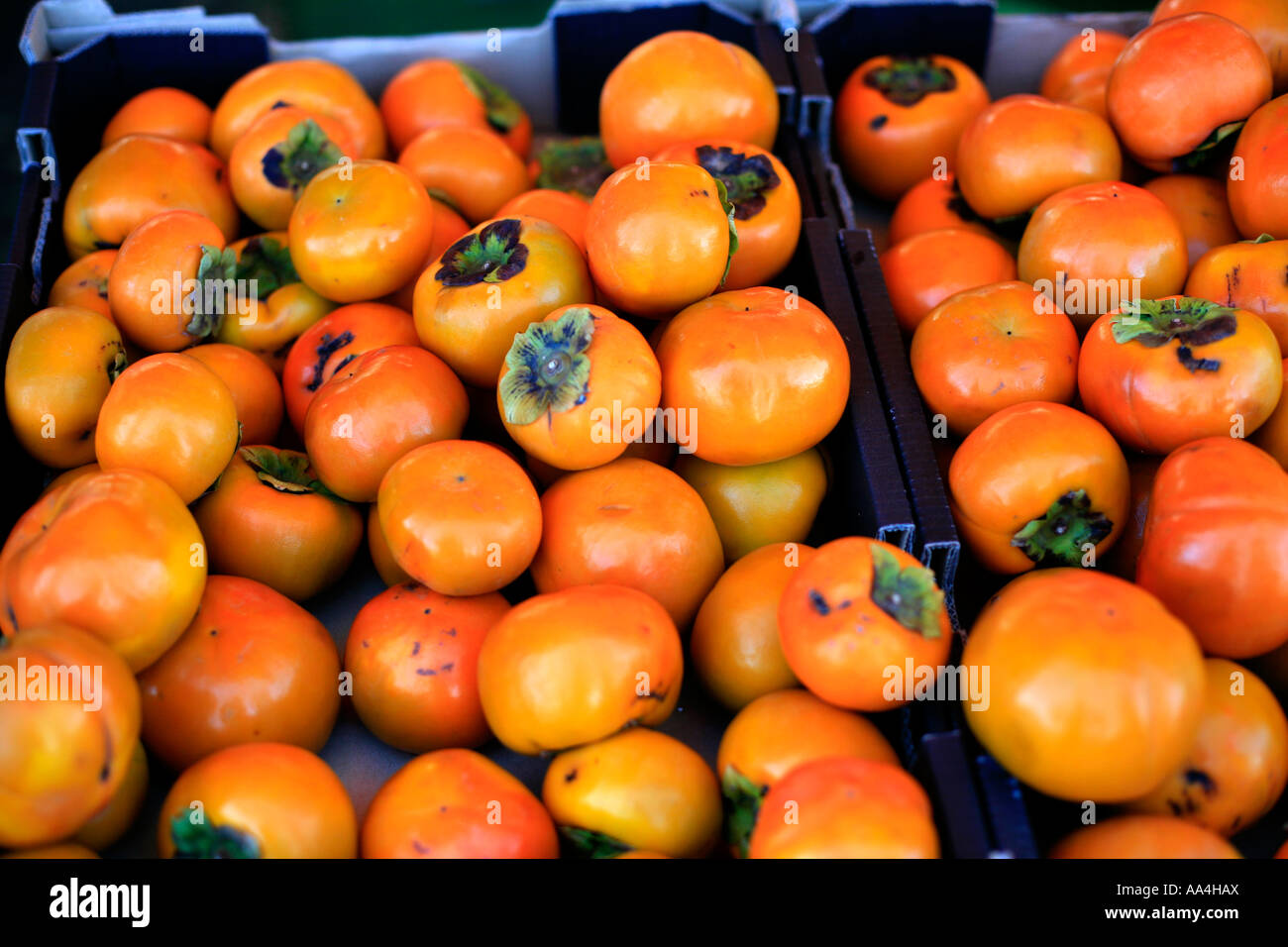 Persimmon frutti per la vendita presso la Baia di Byron produrre i mercati del nord Australia NSW Foto Stock