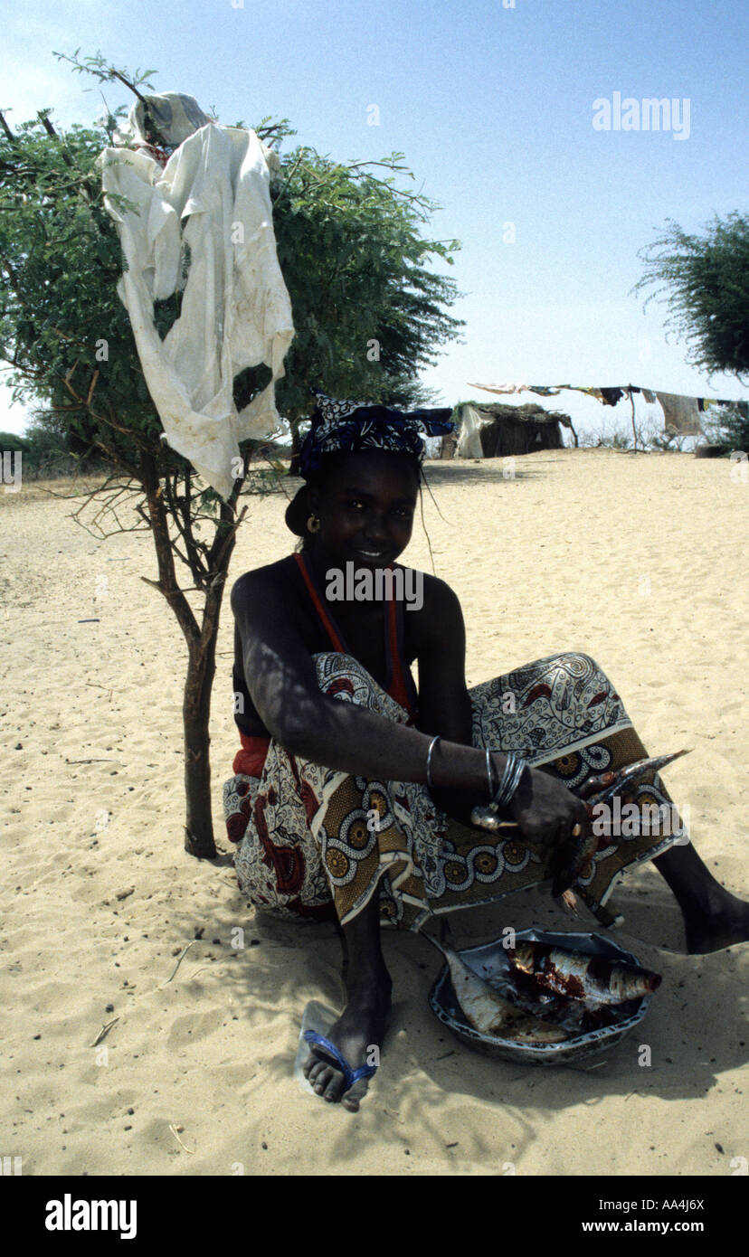 Fulani donna pulizia del pesce all'ombra di acacia nel nord del Senegal Foto Stock